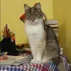 Отзыв от Нелли Чеснокова